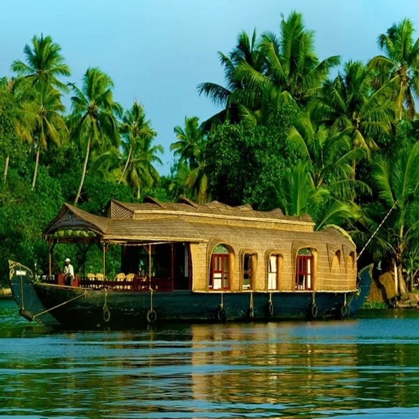 Mesmerizing Kerala