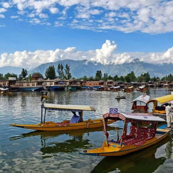 PARADISE ON EARTH - KASHMIR