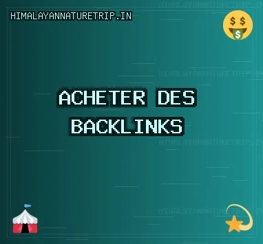 Backlinks de Qualité
